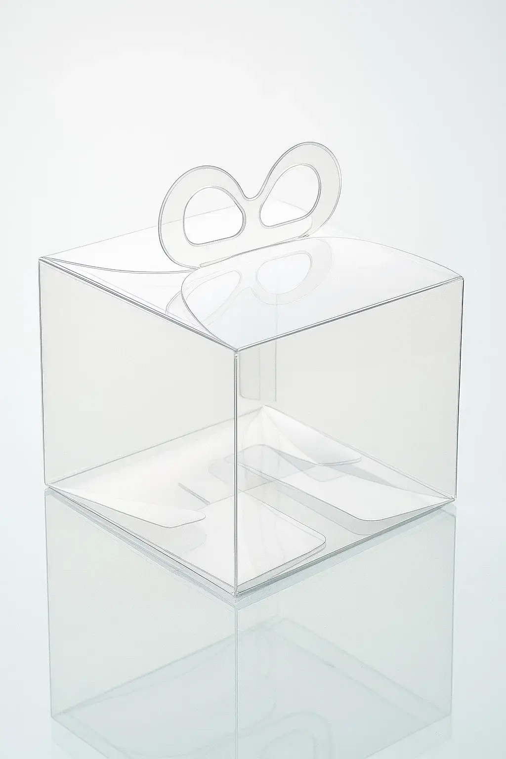 PVC/PET Box image 1